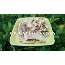 Professioanl Manufacture Supply Wild Porcini Mushroom